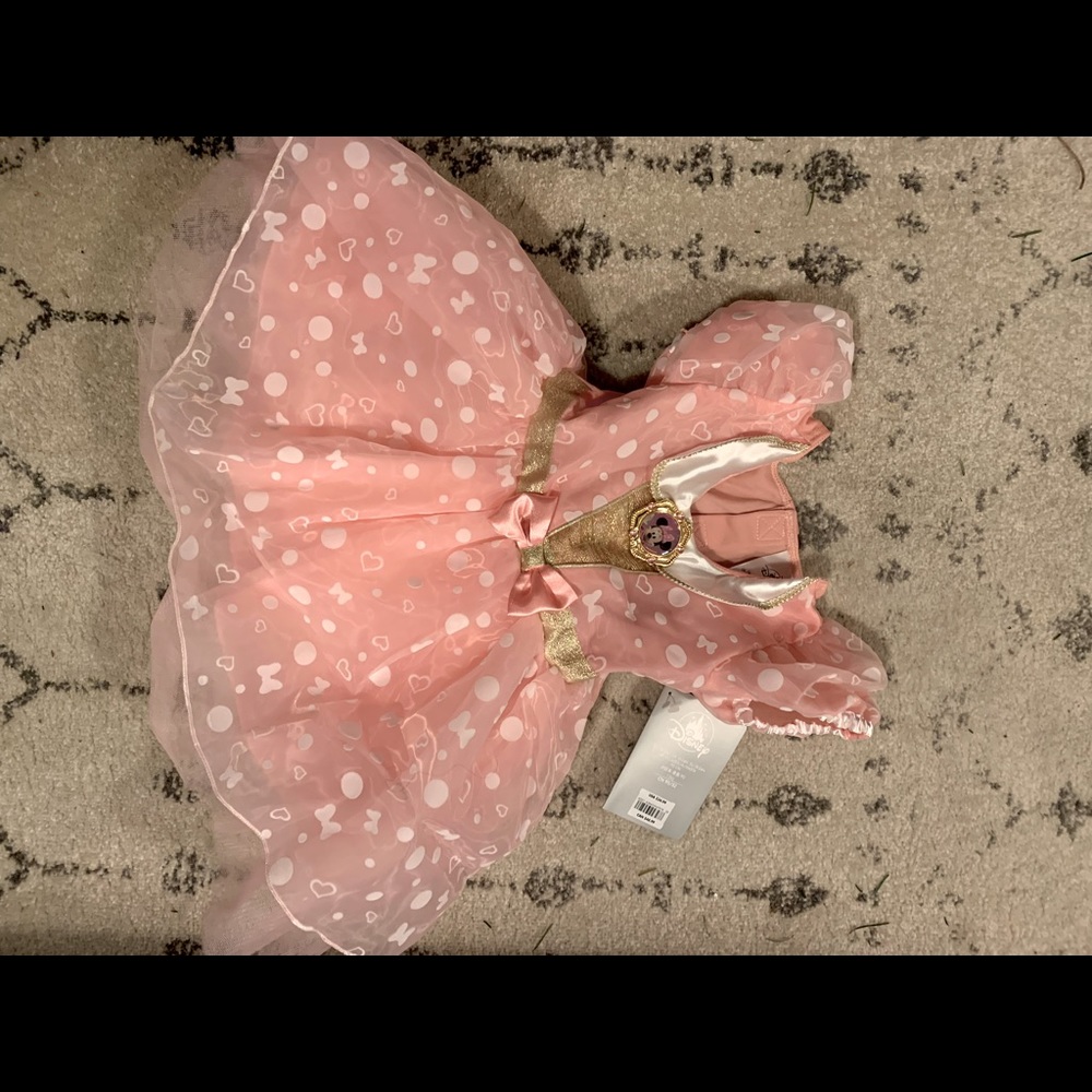 Disney Minnie Mouse Dress